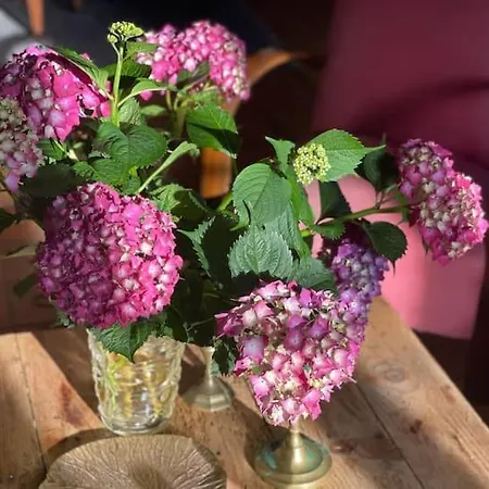 Σπίτι διακοπών Galhareta, La Maison Rose Barcus